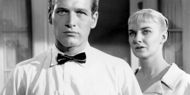 La lunga estate calda: Quando la chimica brucia l'anima