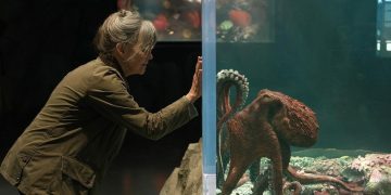 Creature Luminose: 5 differenze tra il libro e il film