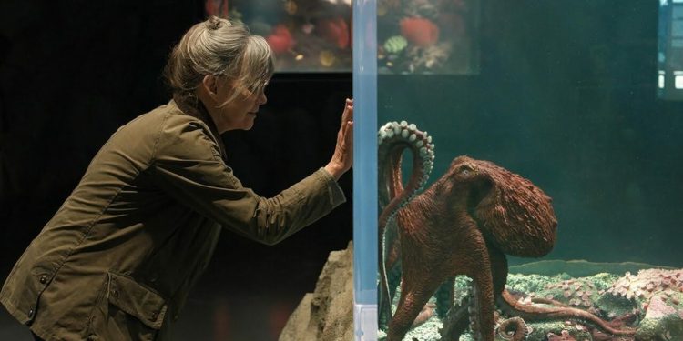 Creature Luminose: 5 differenze tra il libro e il film